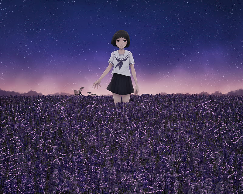 Anime Girl In Field, HD wallpaper