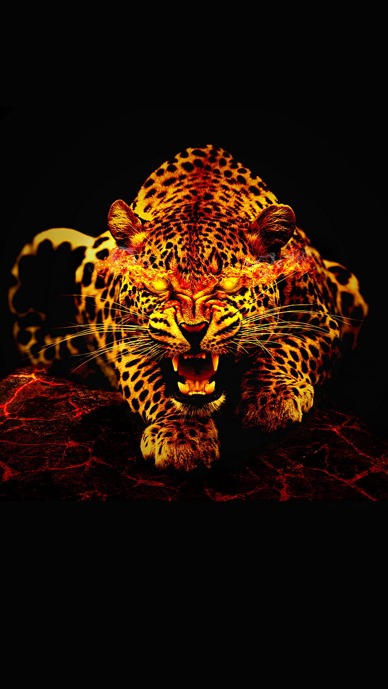 mad jaguar, animal, fire, wild, HD phone wallpaper