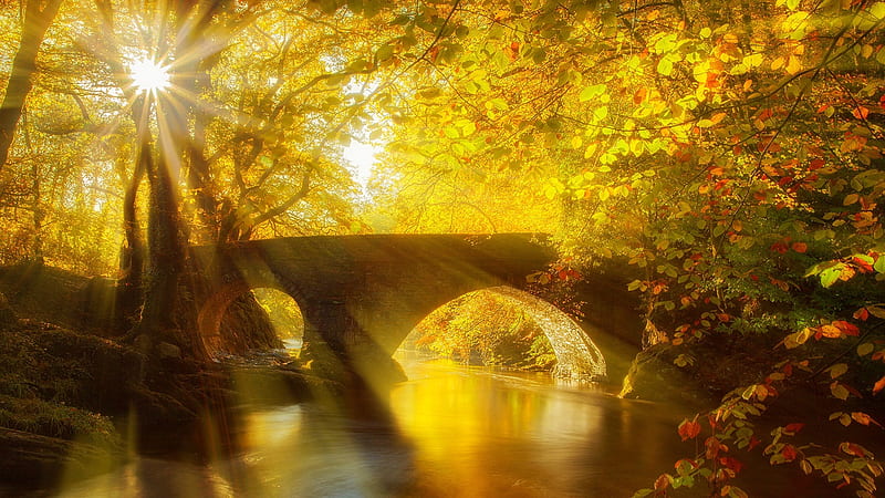 Bridges, Bridge, Fall, River, Sunbeam, HD wallpaper
