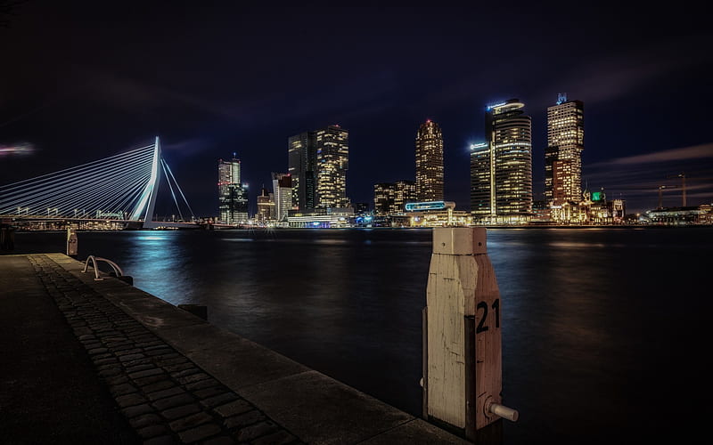 Rotterdam, suspension bridge, Erasmus Bridge, Erasmusbrug, night, Netherlands, cityscape, river Maas, HD wallpaper