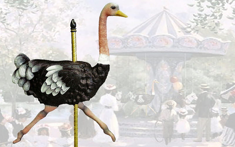 Carousel Ostrich 2 ostrich, graphy, carousel, wide screen, animal, HD wallpaper