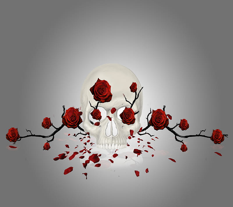 Download Shabby Chic Skull Roses RoyaltyFree Stock Illustration Image   Pixabay