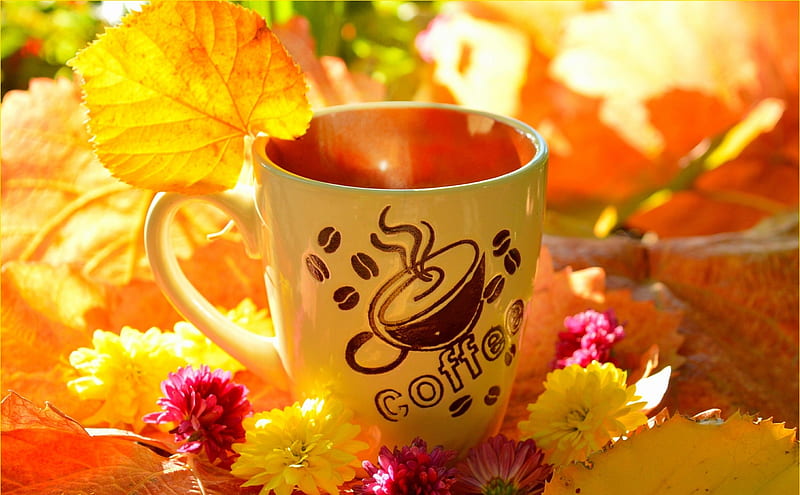 Coffee, Fall, Leaves, Flowers, Autumn, Mug, HD wallpaper | Peakpx