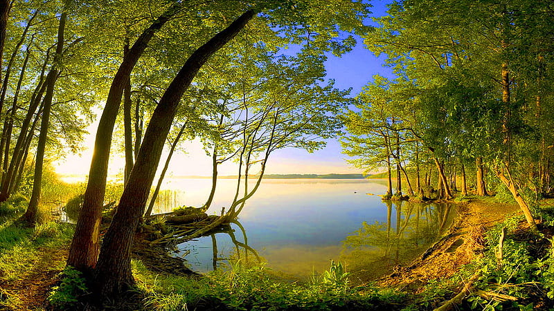 Lake morn, shore, calm, peaceful, sunrise, morning, trees, lake, HD wallpaper | Peakpx Lake morn, shore, calm, peaceful, sunrise, morning, trees, lake, HD wallpaper | Peakpx
