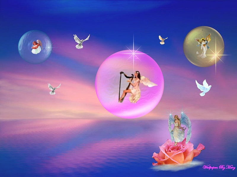 Cotton Candy Angels, flower, dove, bubble, angel, HD wallpaper