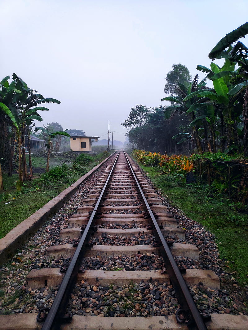 Rail line, bangladesh, railline, railway, train, HD phone wallpaper