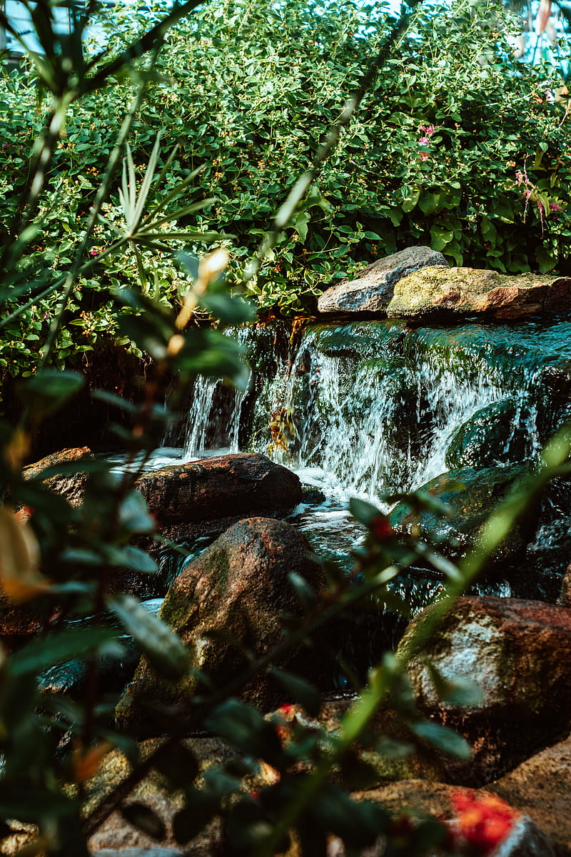 waterfall, water, stones, river, bushes, HD phone wallpaper