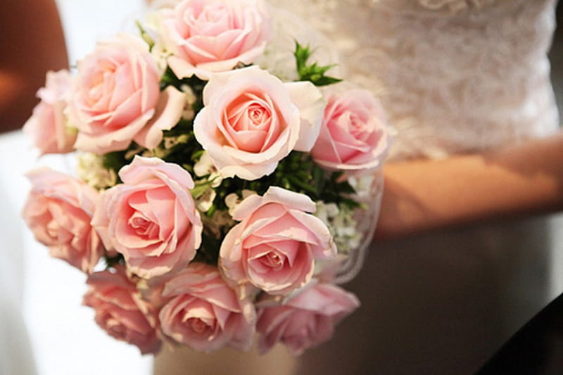 Ramo de rosas rosadas en la novia, ramo, novia, pastel, bonito, suave, rosas  rosadas, Fondo de pantalla HD | Peakpx