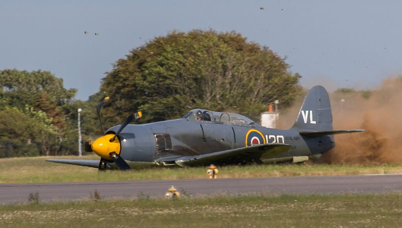 Hawker Sea Fury T20, Sea Fury, Hawker, Damaged, Crash, HD wallpaper