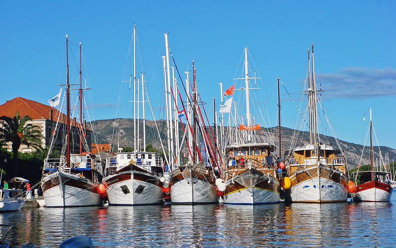 Marina, reflection, sailboats, harbor, HD wallpaper