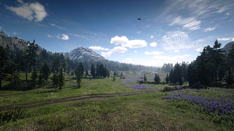 Landscape Red Dead Redemption 2, HD wallpaper | Peakpx