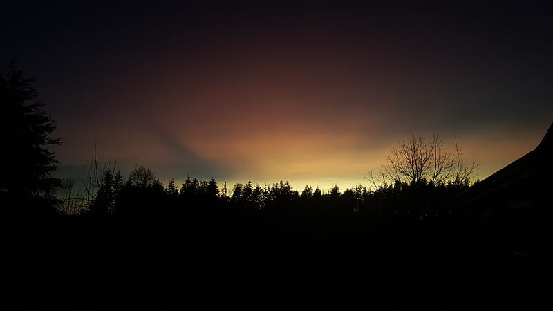 Warm Twilight, dark, nature, trees, twilight, dusk, clouds, warm, HD wallpaper