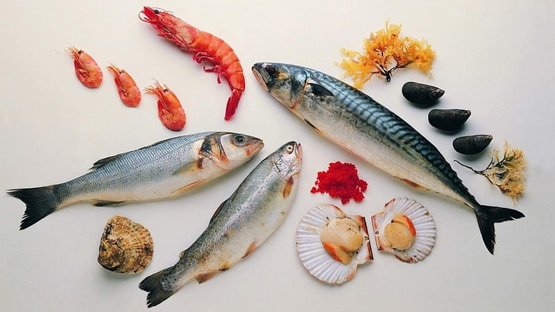 seafood, shrimp, oyster, fish, HD wallpaper