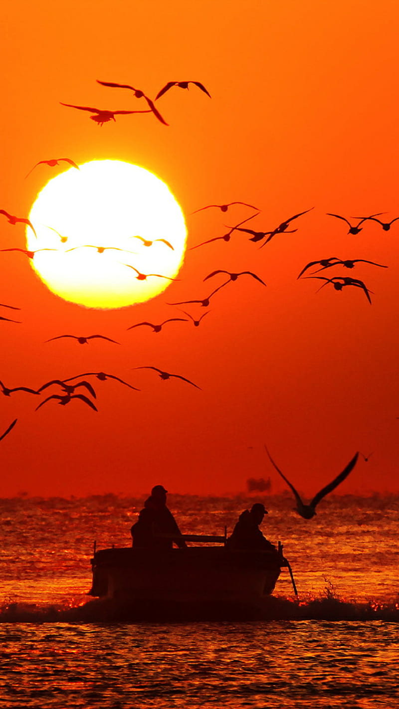 Bird oh bath, boat, orange, people, sea, sun, sunset, water, yellow, HD phone wallpaper