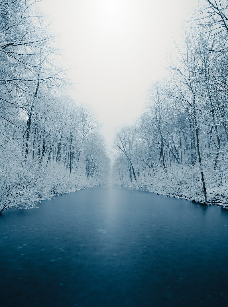 river, ice, trees, snow, winter, nature, HD phone wallpaper