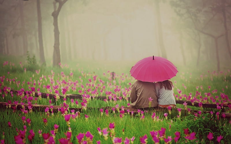 Dating in the rain, motion, foggy, grass, high definition, umbrella, yellow, valentine, sweet, fog, courtesy, nice, gallant, tenderness, love, flowers, beauty, forests, affection, dating, woo, , ion, romance, trees, fondness, endearment, water, cool, attachment, awesome, rain, care, red, brown, gray, bonito, cold, graphy, politeness, green, pink, regard, couple, amazing, education, view, colors, gesture, maroon, mist, mannerliness, court, plants, nature, flirt, HD wallpaper