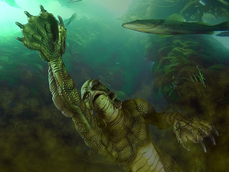 Creature From the Black Lagoon, Creature, Horror, Movie, Lagoon, HD wallpaper