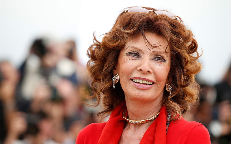 Sophia Loren, 2019, italian actress, beauty, italian celebrity, Sophia Loren hoot, HD wallpaper