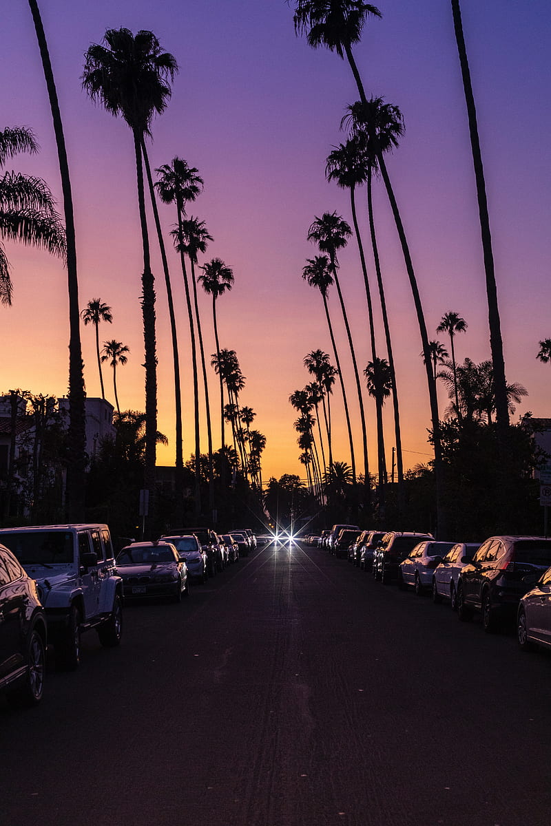 palm trees, twilight, street, road, carros, HD phone wallpaper