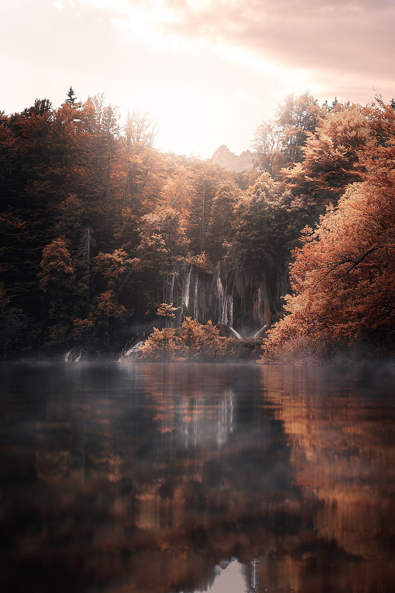 lake, trees, fog, autumn, landscape, HD phone wallpaper