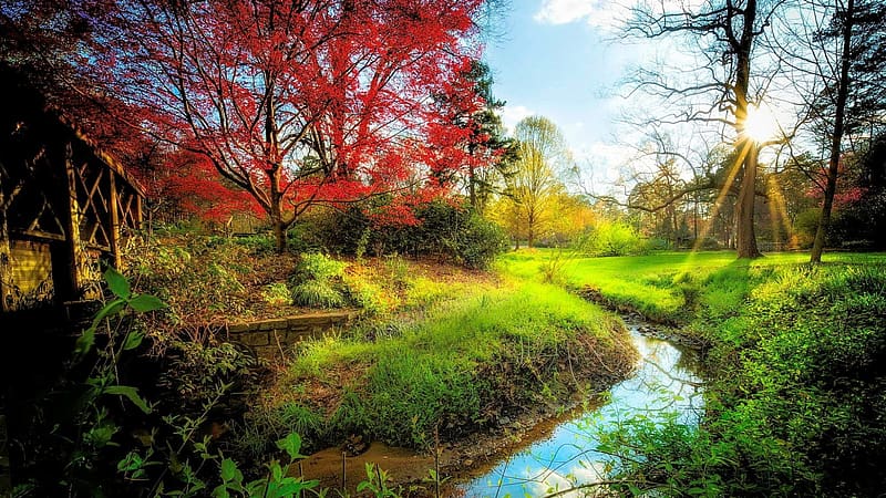 Sunshine At Early Spring, trees, creek, leaves, clouds, landscape, sky, HD wallpaper