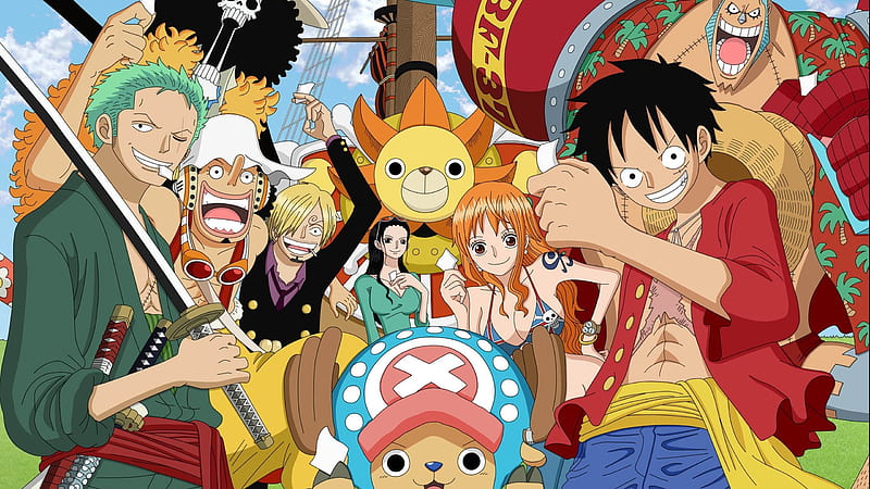 One Piece Merry Luffy Crew Anime, HD wallpaper