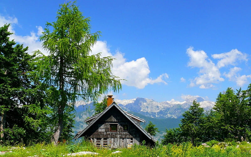 Mountain hut, pretty, hut, house, grass, cottage, cabin, bonito, clouds, mountain, nice, green, peaks, hills, quiet, calmness, lovely, view, greenery, lonely, sky, trees, serenity, slope, summer, nature, HD wallpaper