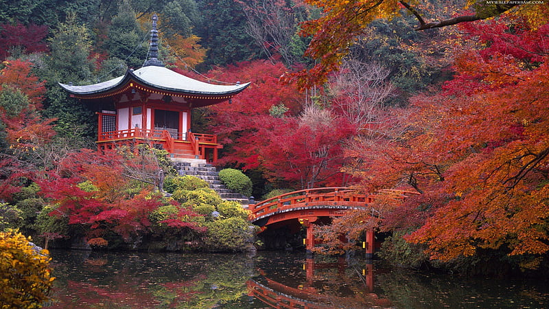 Japanese Garden, bonito, trees, japanese tea house, water, bridge, garden, autumn leaf, reflection, res, HD wallpaper