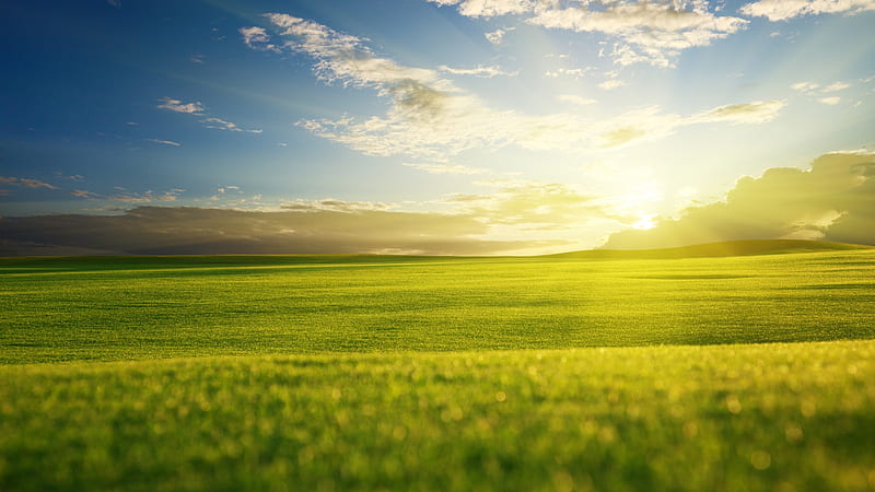 SUNRISE, green, dewy, pastures, clouds, sky, HD wallpaper