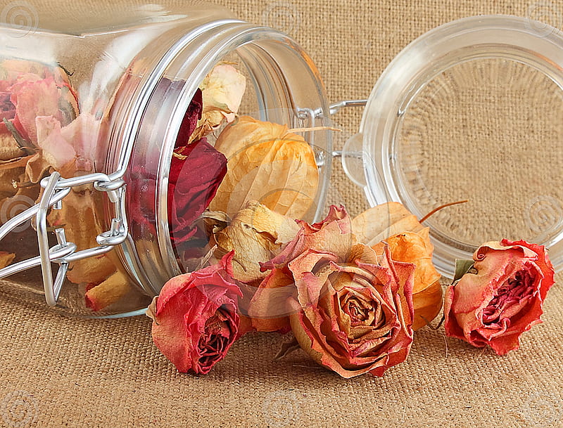 dried flowers in glass, glass, fllowers, dried, orange, HD wallpaper