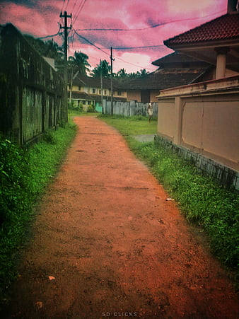 Up close with nature at Nelliyampathy | Palakkad Where To Go |  Nelliyampathy | Palakkad | Nature | Kerala Destinations