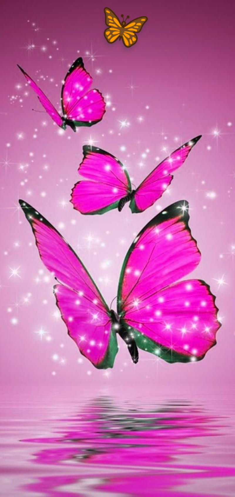 Butterflys, butterfly, corazones, HD phone wallpaper