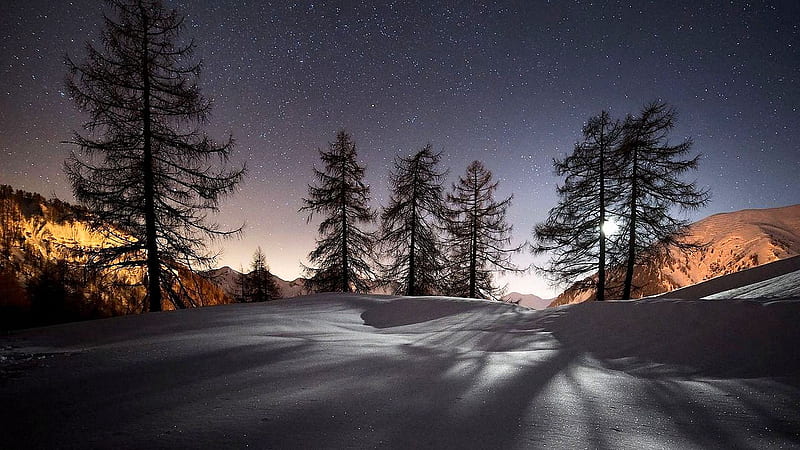 Winter Evening, stars, snow, mountains, shadows, trees, sky, firs, light, HD wallpaper