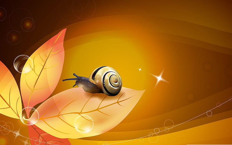 snail illustration-snail album, HD wallpaper