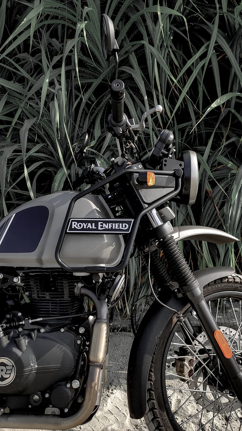 Royal Enfield Live, Himalayan With Grass Background, himalayan bike, grass background, bike, HD phone wallpaper
