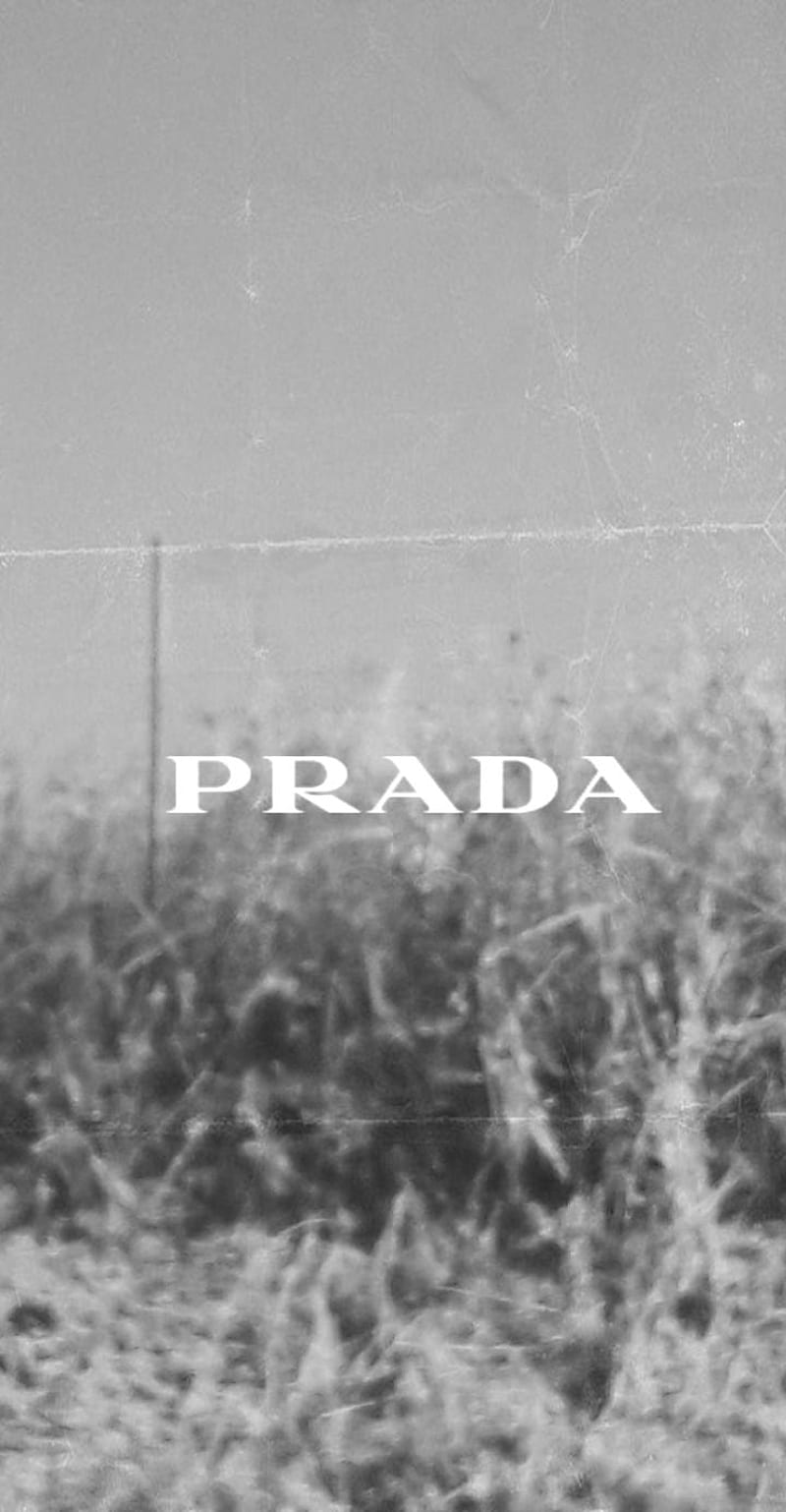 Prada 50, HD phone wallpaper | Peakpx