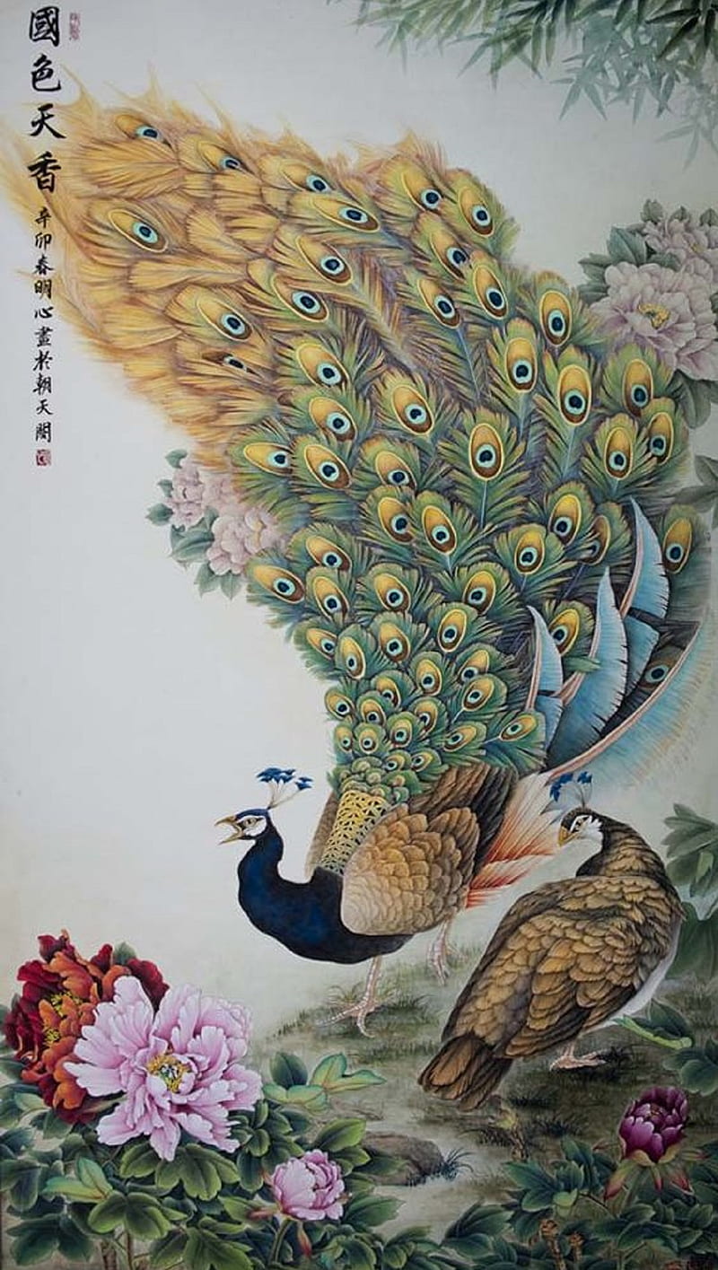 Peacock, animal, painting, HD phone wallpaper | Peakpx