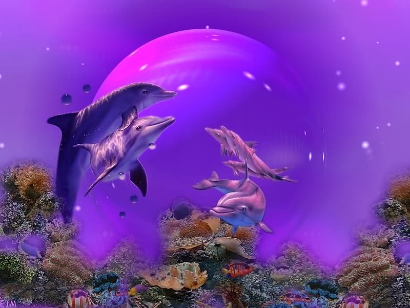 THE DANCE, dance, purple, dolphins, HD wallpaper