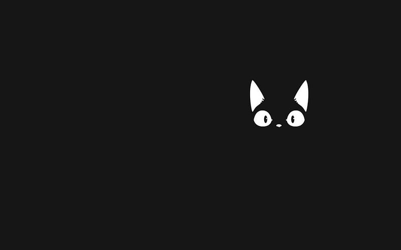 Cat, halloween, black, cay, minimalistic, fantasy, dark, white, eyes, pisica, HD wallpaper