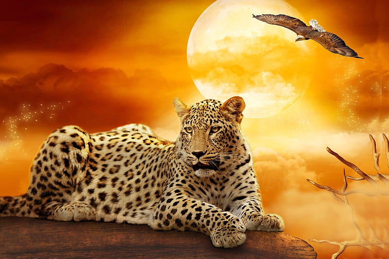 Leopard~Under A Golden Sky, fantasy, Sky, Sun, golden, painting, eagle, Leopard, animals, HD wallpaper