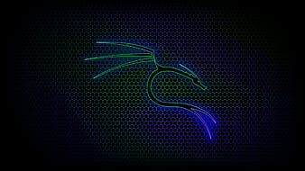 kali linux neon dragon, computer, hex, kali linux, HD wallpaper