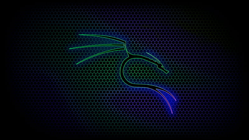 Kali linux neon dragon, computer, hex, kali linux, HD wallpaper | Peakpx