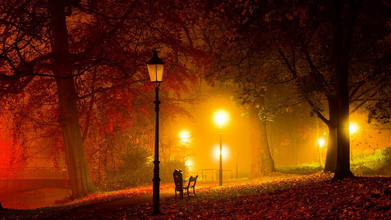 warm lights in a park at night, lamps, bench, park, trees, lights, night, HD wallpaper