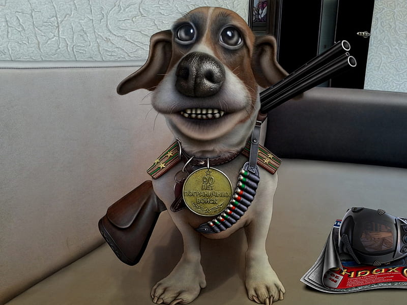 Guard dog, guard, gun, bullet, dog, HD wallpaper | Peakpx