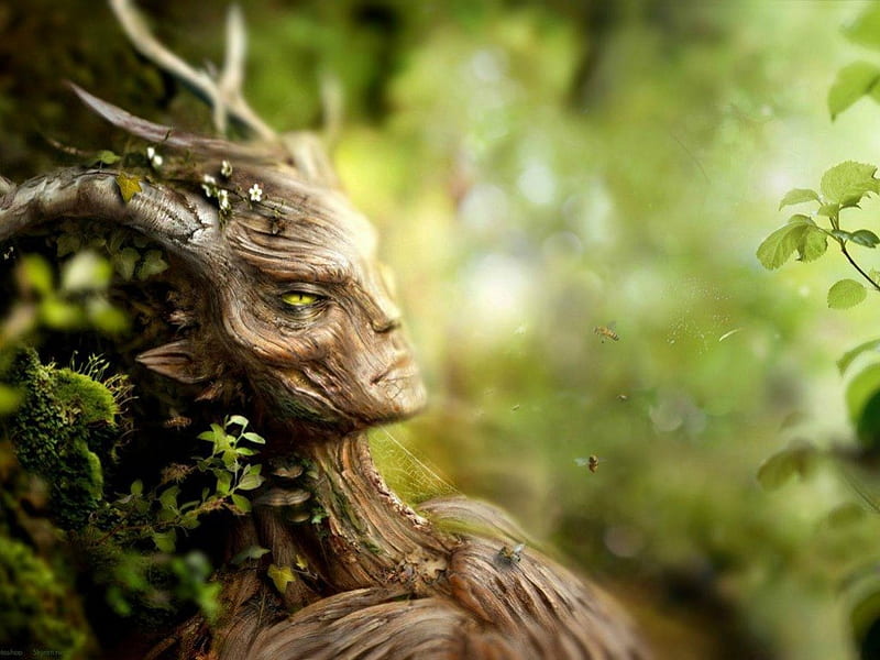 The elder scrolls, art, tree, fantasy, green, face, forests, abstract, creature, HD wallpaper