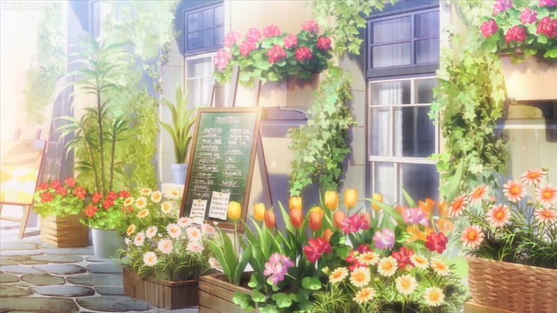 Flower Shop, shop, pretty, house, scenic, bonito, notice board, floral, sweet, blossom, nice, city, anime, beauty, scenery, lovely, window, stall, town, notice, building, flower, scene, HD wallpaper