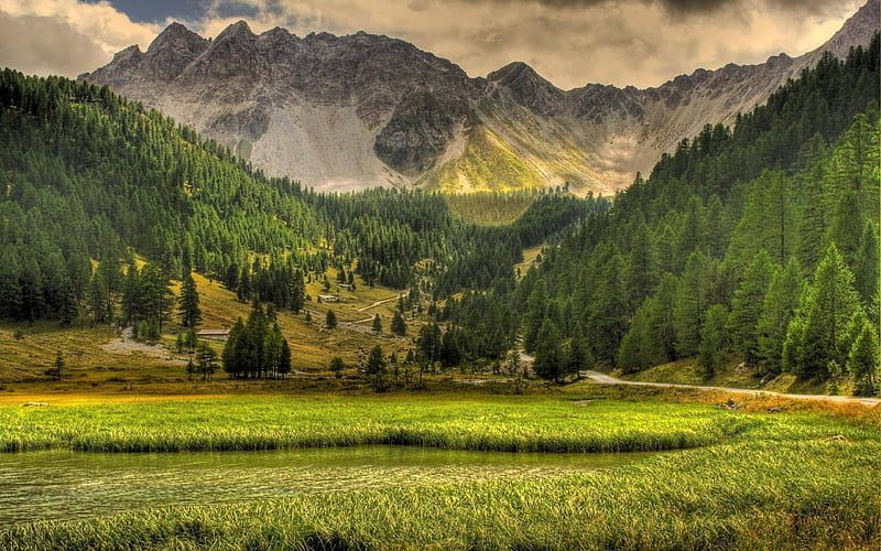 mountain view, mountain, forest, cool, nature, fun, HD wallpaper mountain view, mountain, forest, cool, nature, fun, HD wallpaper