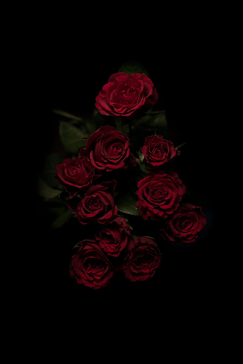bouquet, black, love, red, roses, HD phone wallpaper