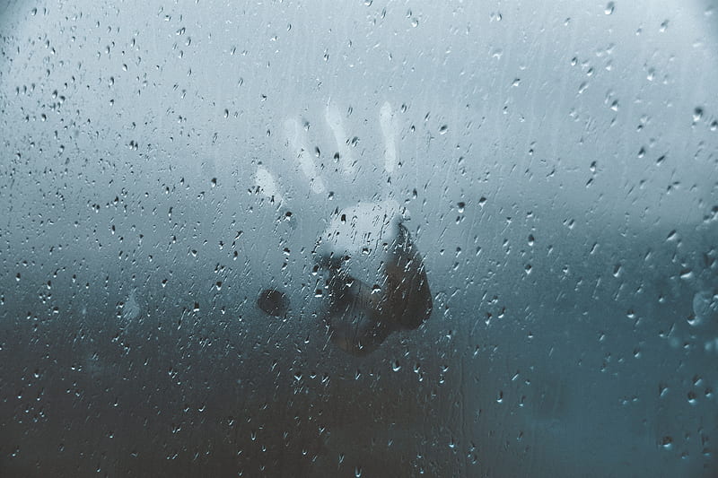rain drops, window, hand, HD wallpaper