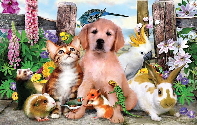 The Best of Friends, guinea pigs, gerbils, birds, rabbits, lizards, cats, dogs, HD wallpaper